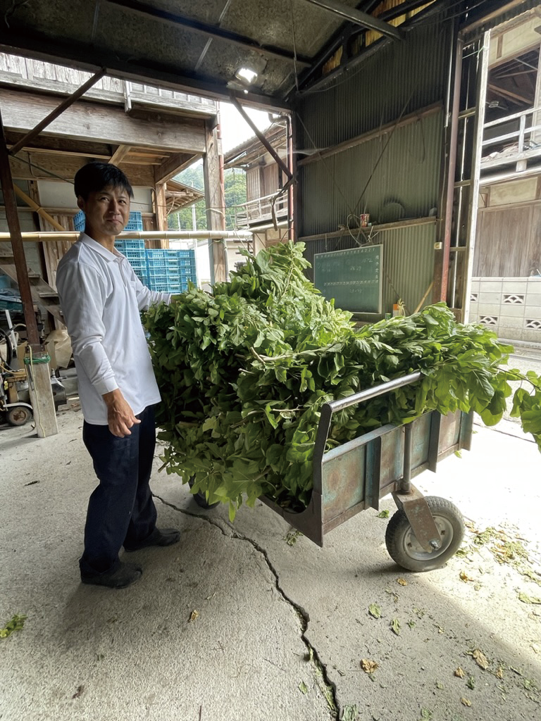 SILK-BioCraft Image 8